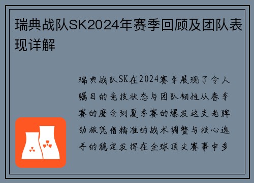瑞典战队SK2024年赛季回顾及团队表现详解